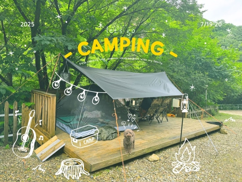 [평창 산마을풍경 캠핑장]한여름에 가족 반려견과 함께한...