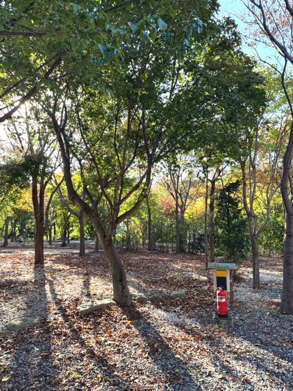 ‘무주 수목원캠핑장’ 겨울 장박지 둘러보기