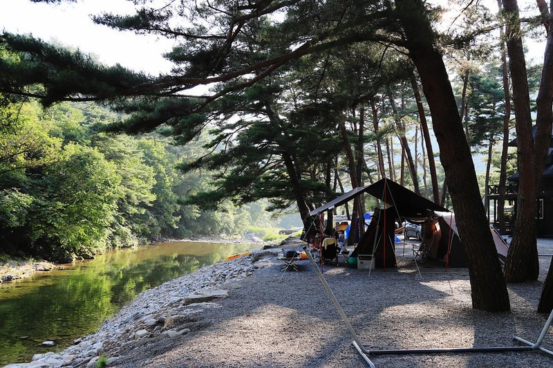 솔밭 캠프장 시설 사진 7