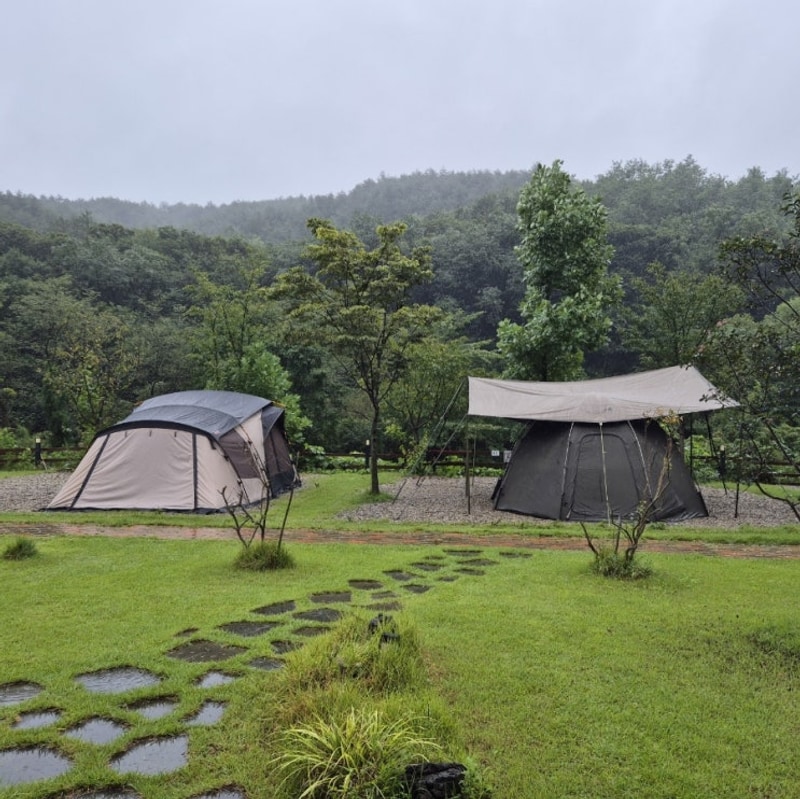 양양포레스트캠핑장 : 강돌 B1, B2