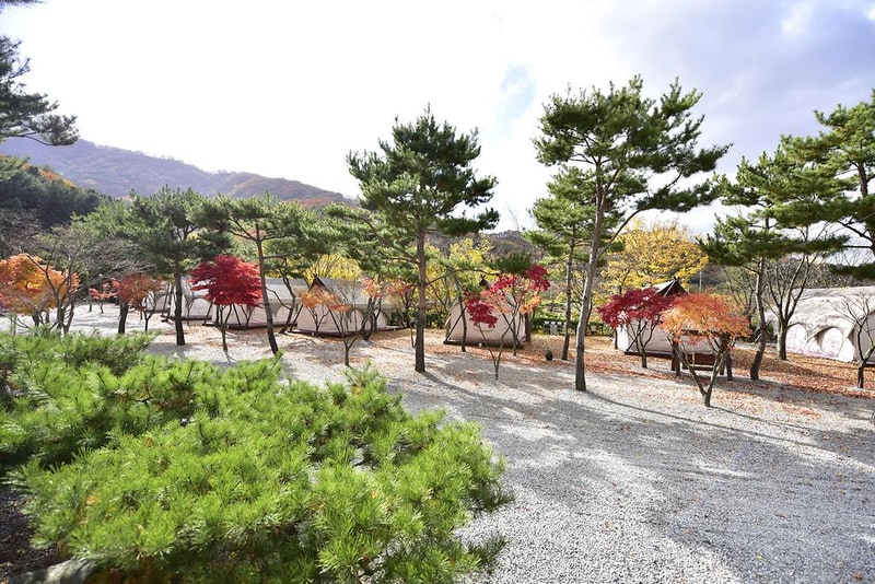 리즈밸리 시설 사진 8