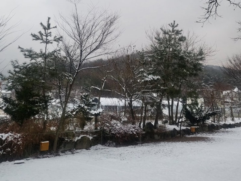 <천안 아산> 겨울느낌 가득했던 강당골 캠핑파크