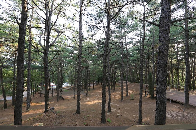 파인힐캠프 시설 사진 5