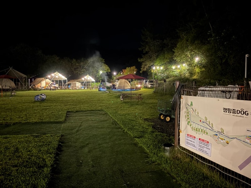 두번째 캠핑 / 캠핑중DOG / 첫 애견동반캠