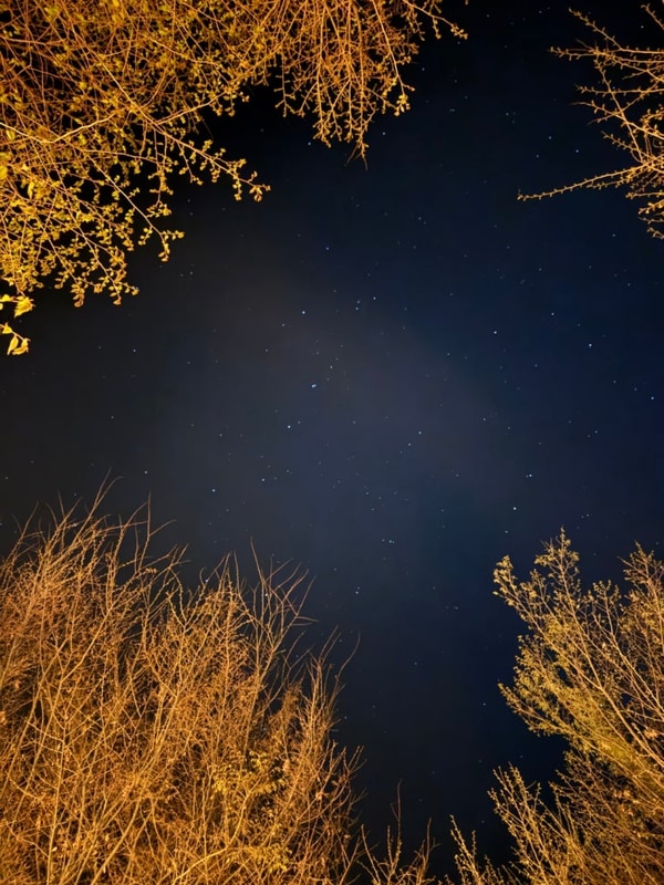 담터금학캠핑장