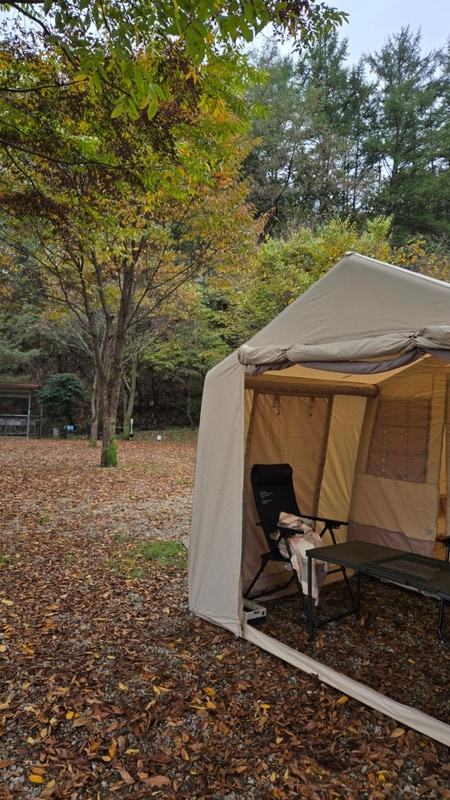 포천 닥박골 휴양림 캠핑장 | 첫 단풍캠 당일치기 캠핑 요리 추천