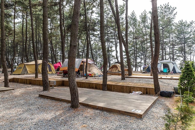 장항오토캠핑장 시설 사진 4