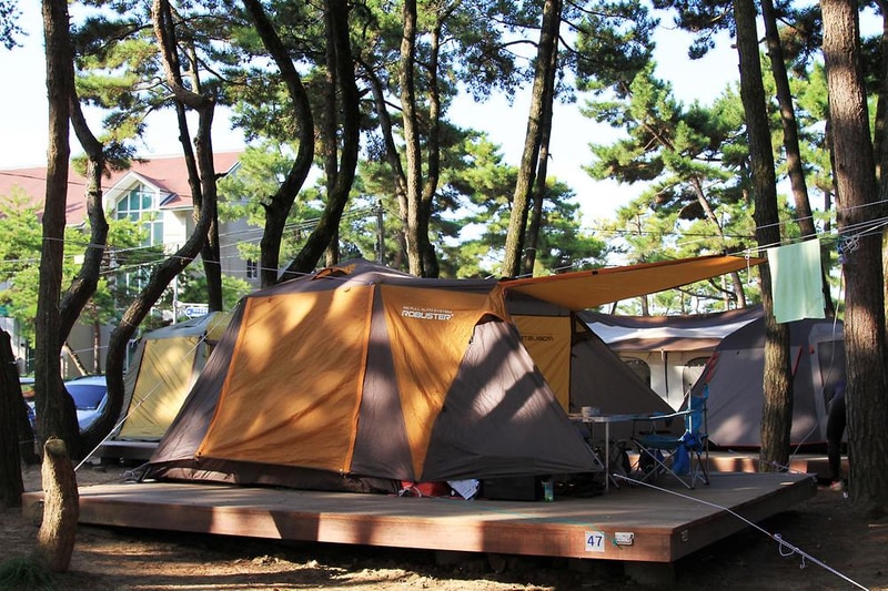 대천해수욕장 야영장 시설 사진 13