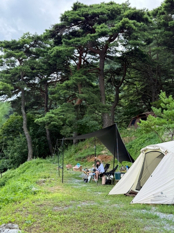 평창 산너미목장 캠핑