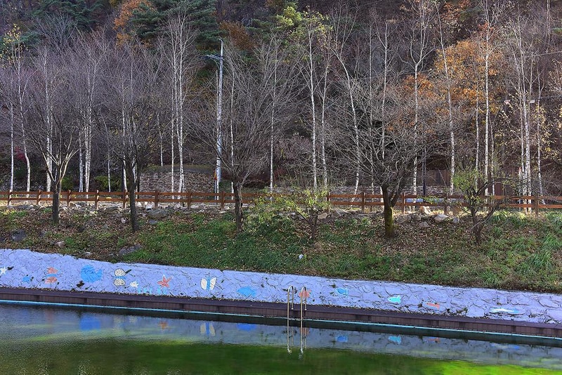 박달재 자연휴양림캠핑장 시설 사진 11