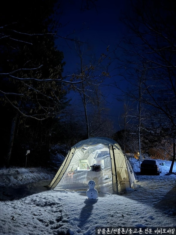 경북 봉화 청량산 나무네숲 캠핑장 낙엽송 사이트 설중캠핑