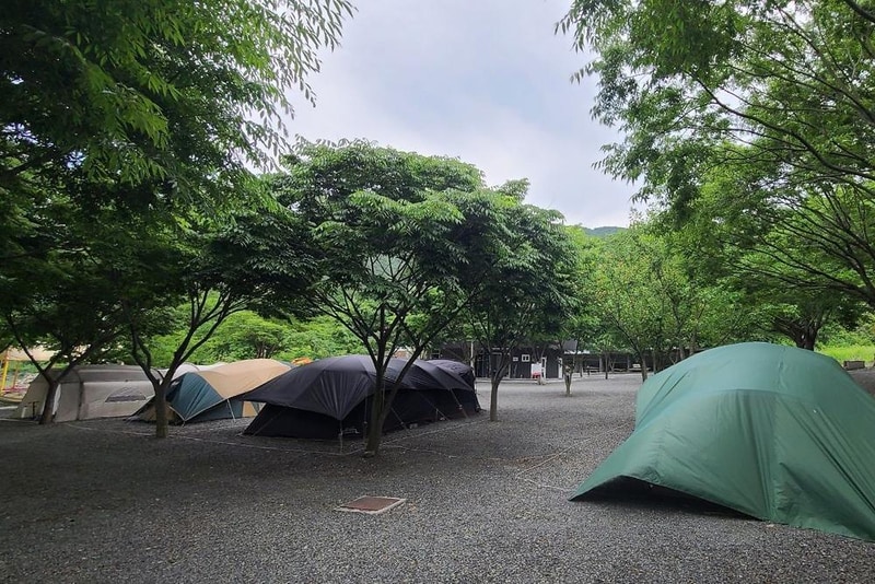 알프스캠핑 시설 사진 10