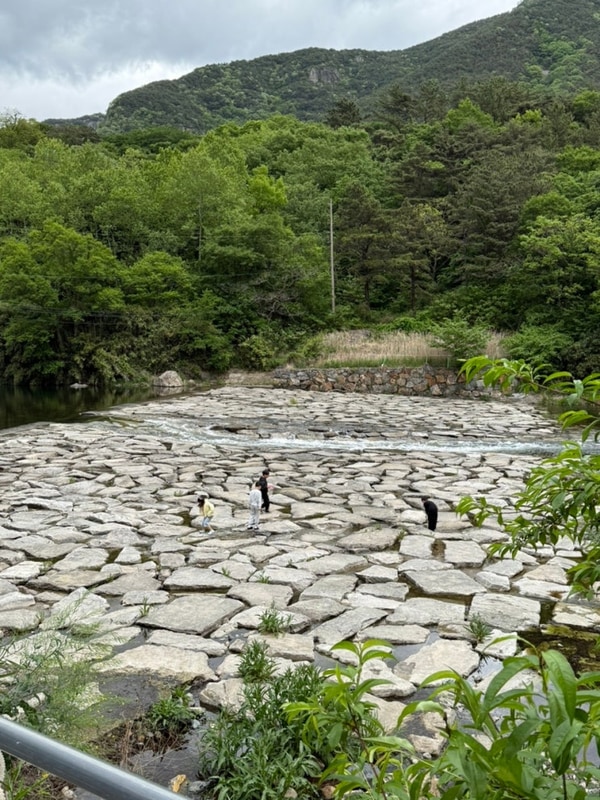 [경남 밀양] 산여울 캠핑장