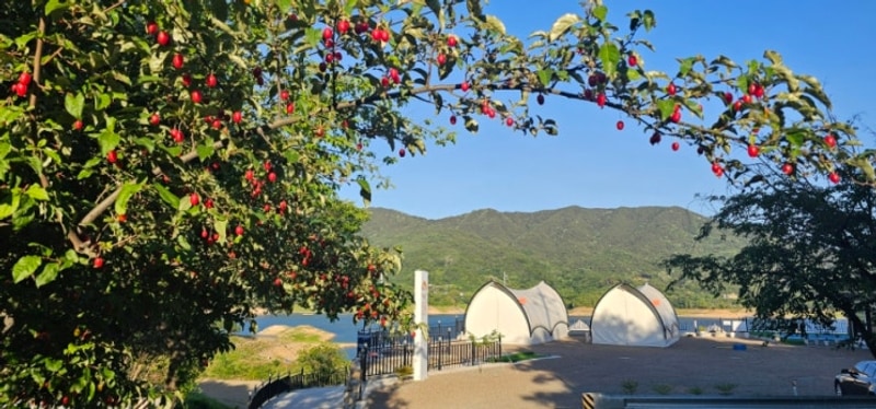 첫 글램핑장 방문하기 ㅡ합천 리드글램핑