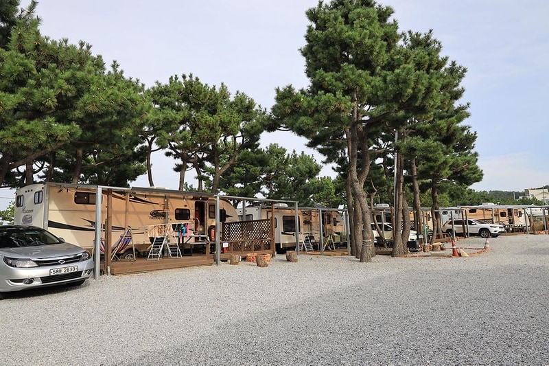 하조대캠핑카 시설 사진 11