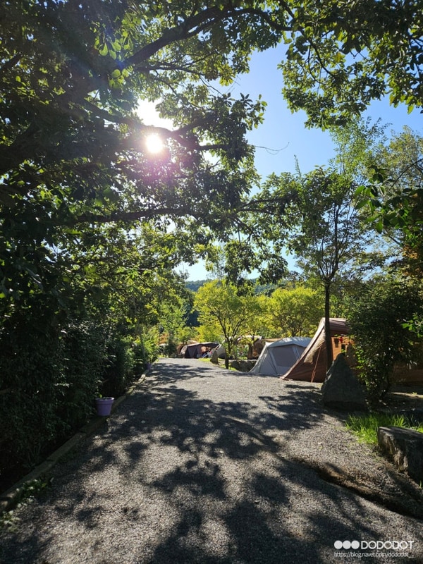 파주 율곡캠핑장 A 사이트 2번 자리