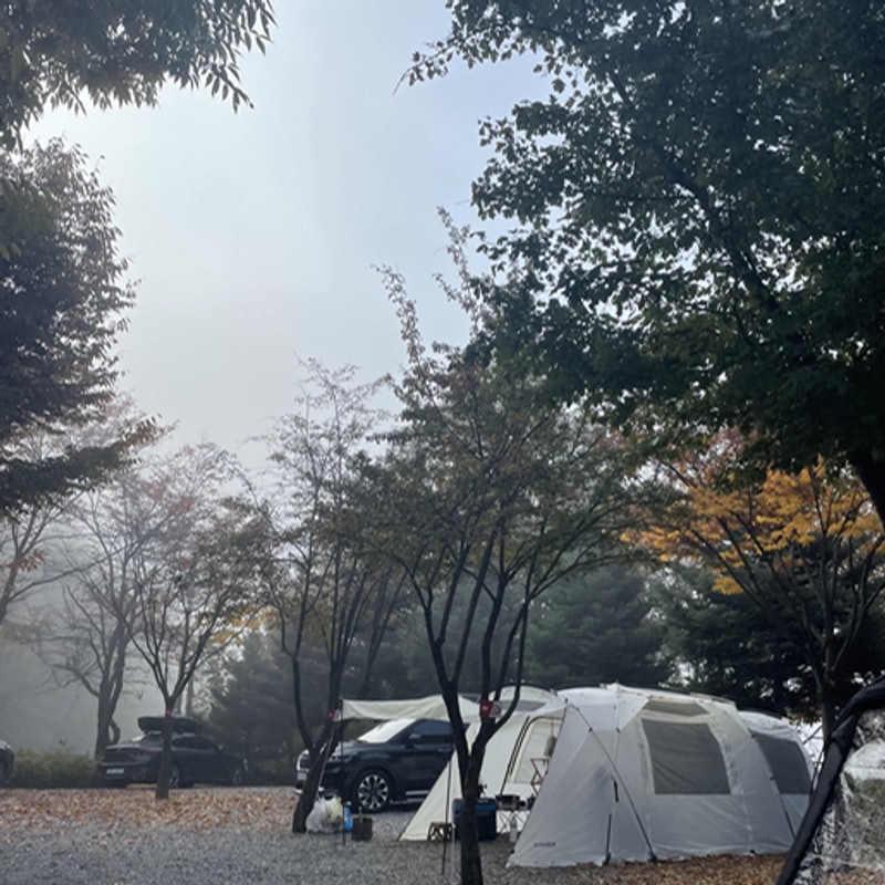 (4) 2022.10월-춘천사북면 프라임캠핑장