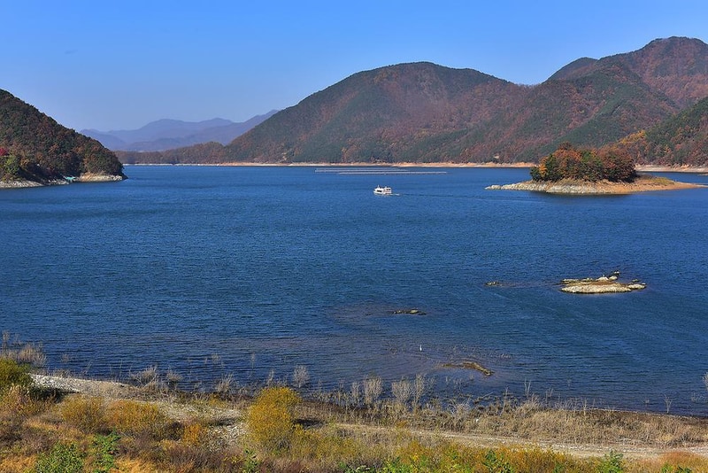 멤피스 글램핑 시설 사진 4