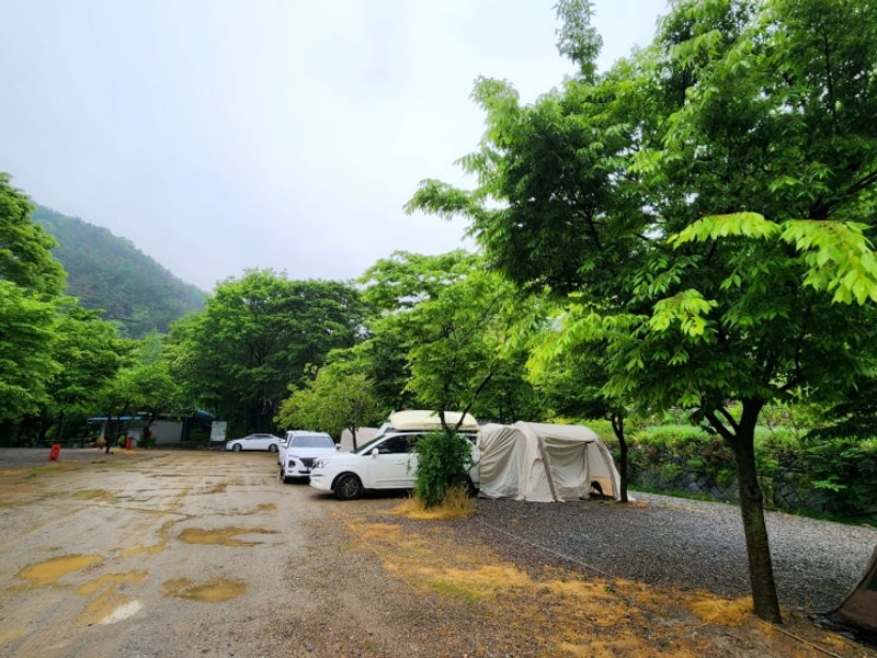 천안 호두나무캠핑장 계곡캠핑장
