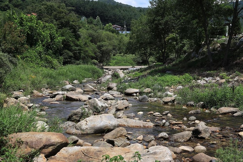 슬로우캠프 시설 사진 7