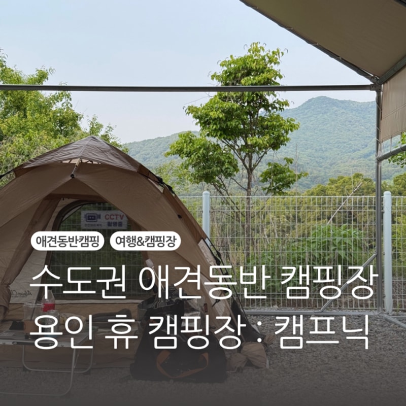 용인[용인휴캠핑장] - 애견동반캠핑 당일치기 캠핑 캠프닉 후기