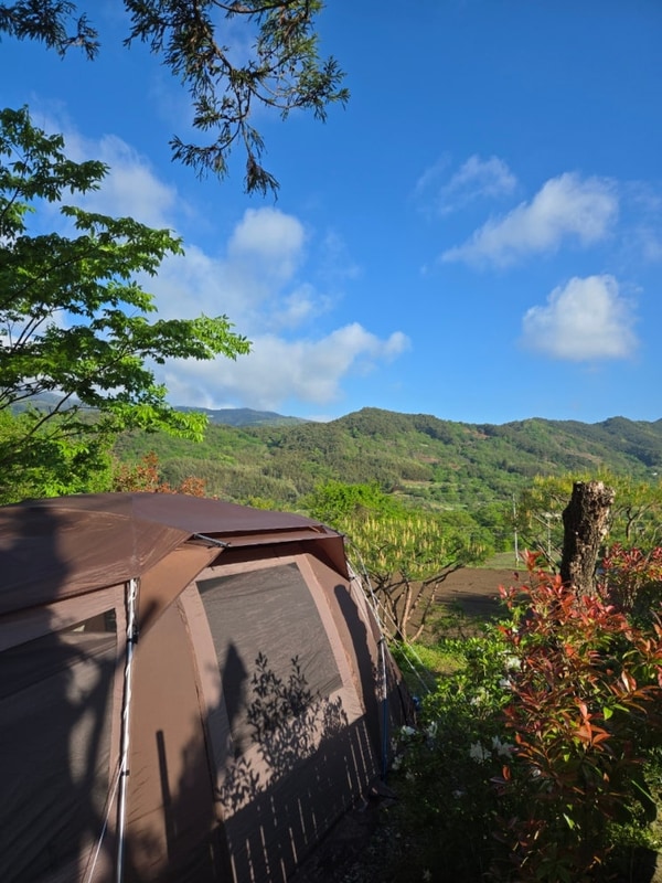 전남 구례 '지리산 오토 캠핑장' 추천 후기 / 커플 B-2 사이트...