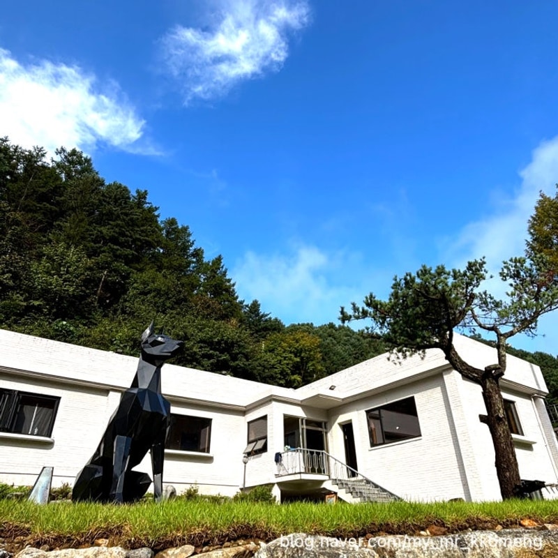 애견동반) 가평에 위치한 캠프네버랜드 캠핑장에 다녀왔어요...