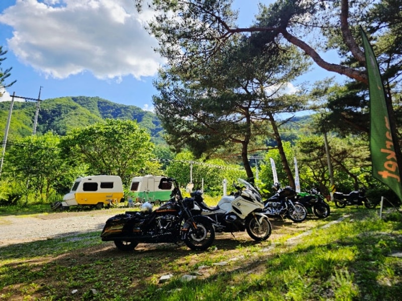 춘천 황금박쥐 캠핑장 황만장