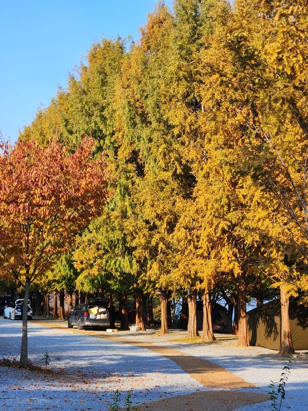 충북 제천 가을 여행 2. 청풍호반 오토캠핑장