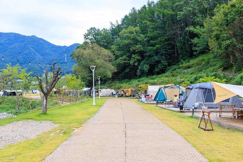 캠핑에 바나나 시설 사진 16