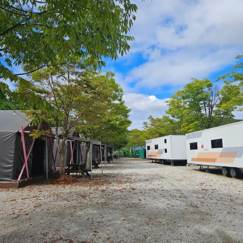 포천키즈글램핑 : 광릉해오름글램핑카라반