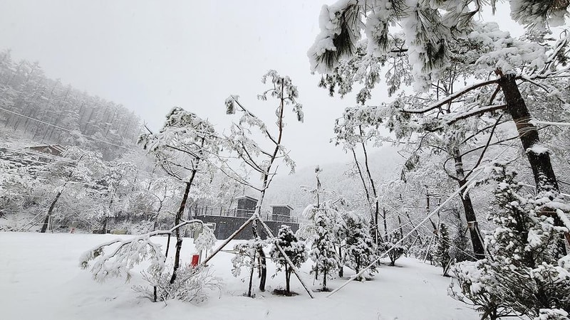 굿나잇 캠핑장 시설 사진 18