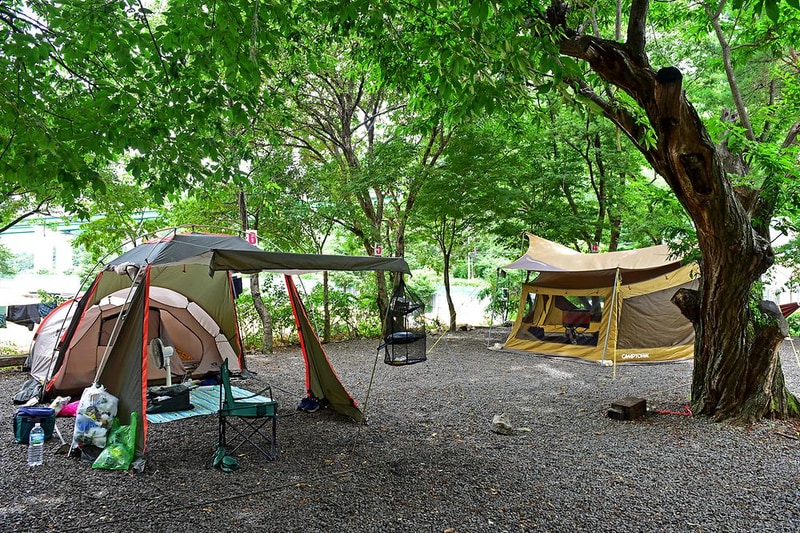 얼음골까투리 펜션&캠핑장 시설 사진 9