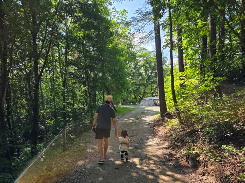 20개월 아기랑 재방문한 인제 오아시스정글캠핑장 A4 8월말...