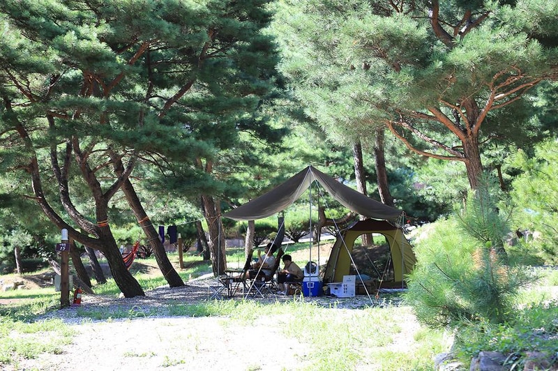 숲속의야영장 시설 사진 29