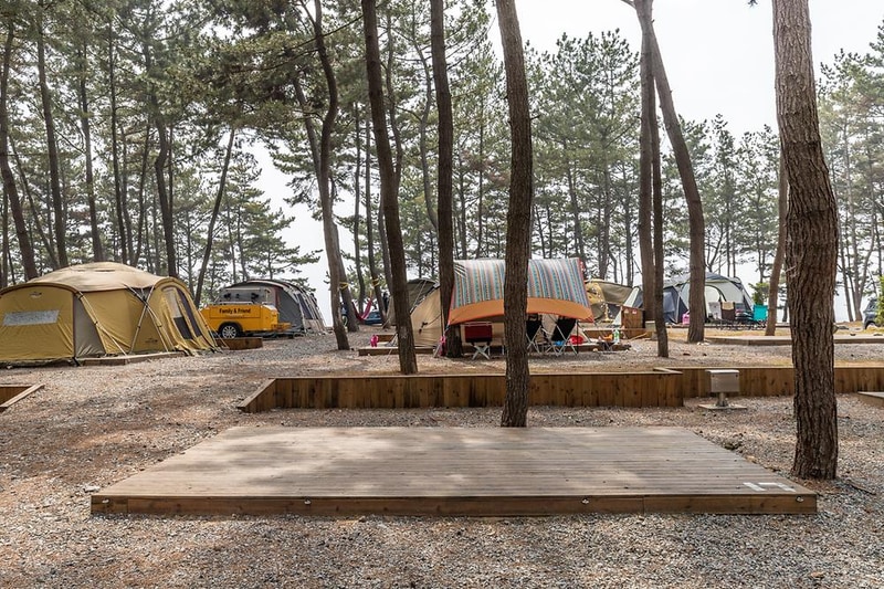 장항오토캠핑장 시설 사진 5