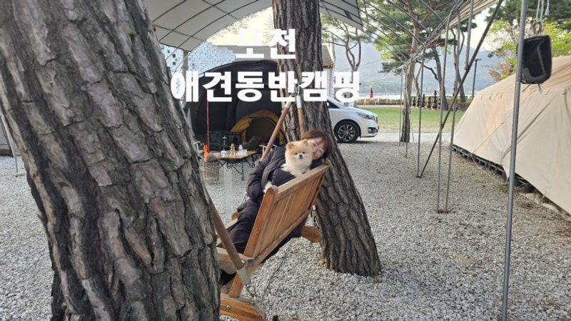 봄날의 캠핑, 포천 리버빌캠핑장 I 포천애견캠핑장 솔직 후기...
