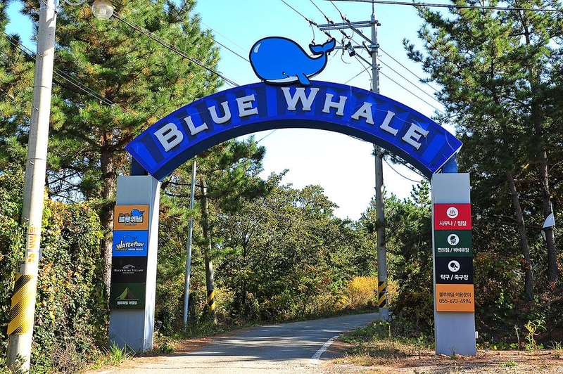 블루웨일 시설 사진 15