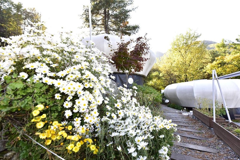 온더락캠핑장 시설 사진 8