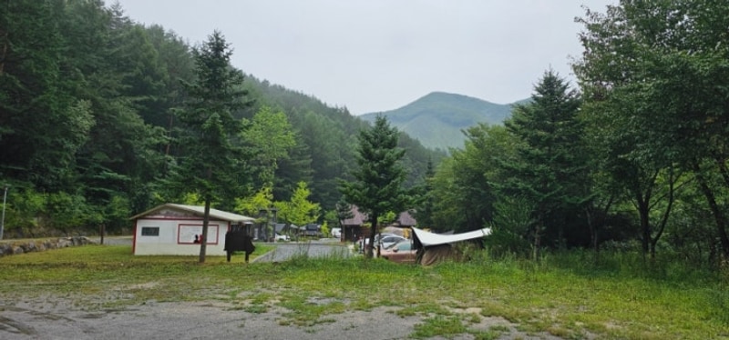 <어쩌다 캠퍼> 비맞이캠핑  : 태백고원자연휴양림에서