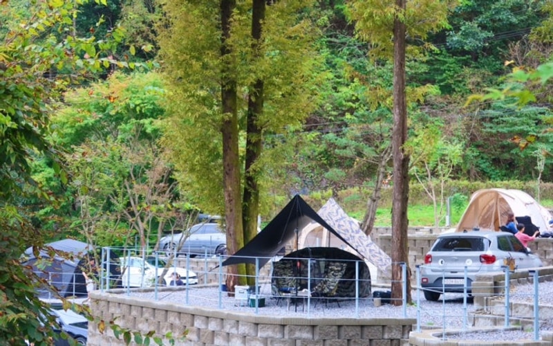 가평 신상 캠핑장 캠프 네버랜드 A14 파쇄석 (11번째 캠핑)