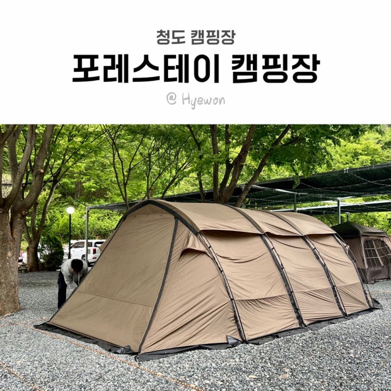 경상도 캠핑장, 청도에 새로 생긴 계곡 앞 포레스테이 신생...