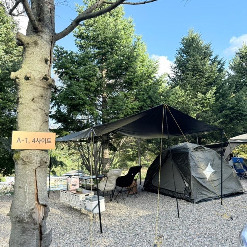 캠프여주 서울 근교 캠핑장 추천 호수뷰 A사이트 주말 후기