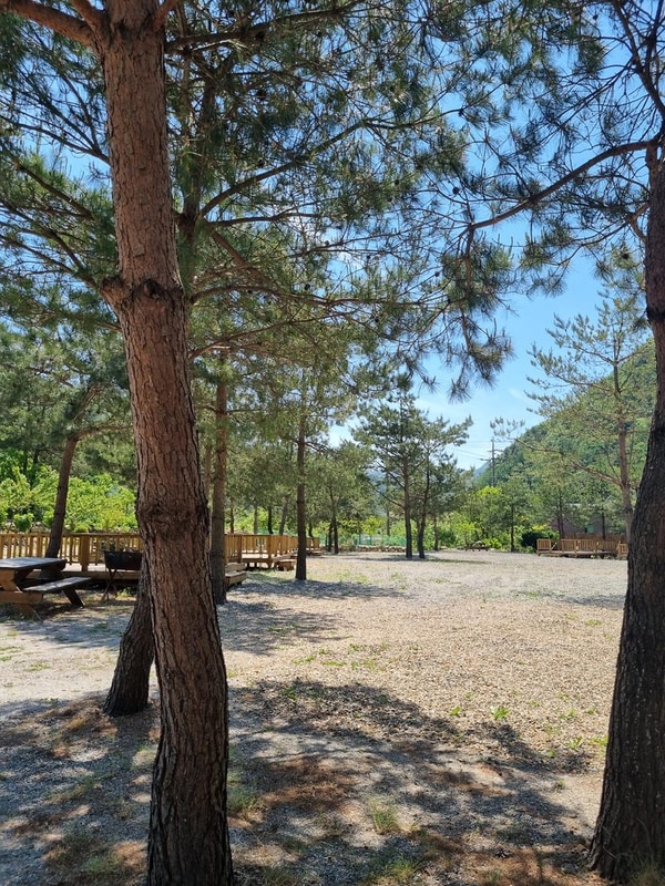 I(아이)캠핑 시설 사진 19