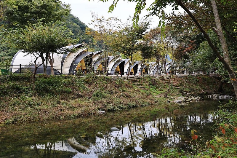 숲속에 머물다 시설 사진 1