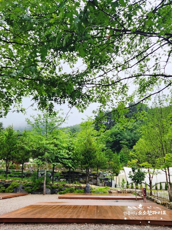 캠핑일기#21 경남 산청 더예감스테이 오토캠핑장 글램핑...