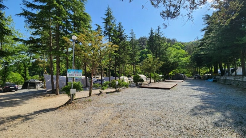 강릉 보광농촌체험휴양마을 캠핑장(보광리 캠핑장)