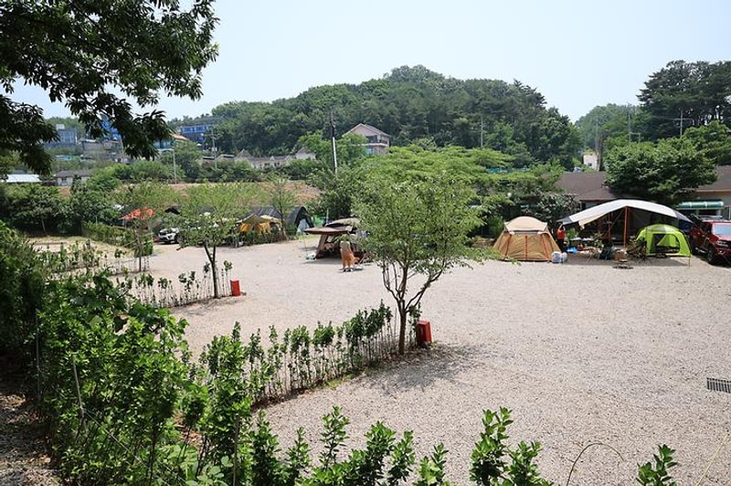 영흥도십리포캠핑장 대표 사진
