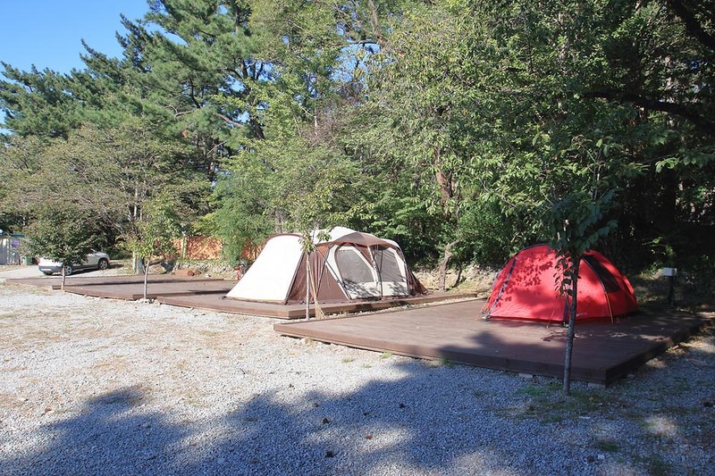 포항오토캠핑장 루트7 시설 사진 5