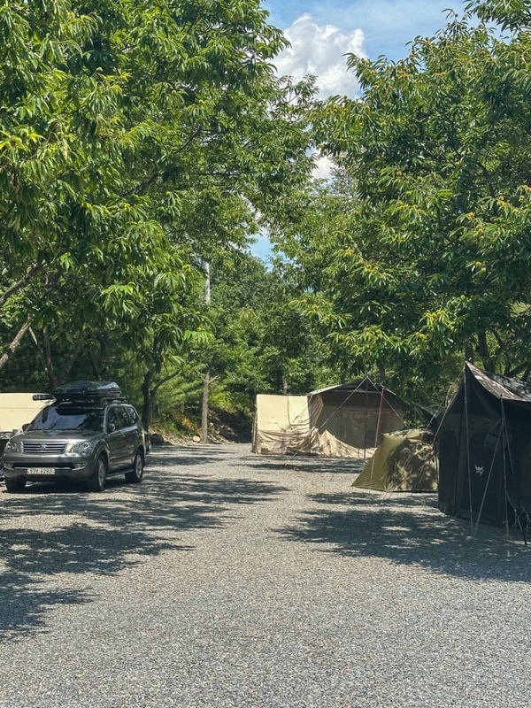 강원도 영월 캠핑장 추천 법흥 계곡이 있는 시원한 밤골야영장...